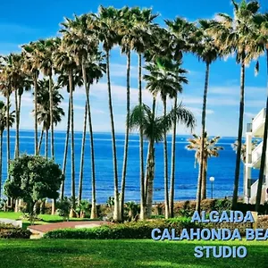https://algaida-beach-studio-calahonda.1costadelsol.com